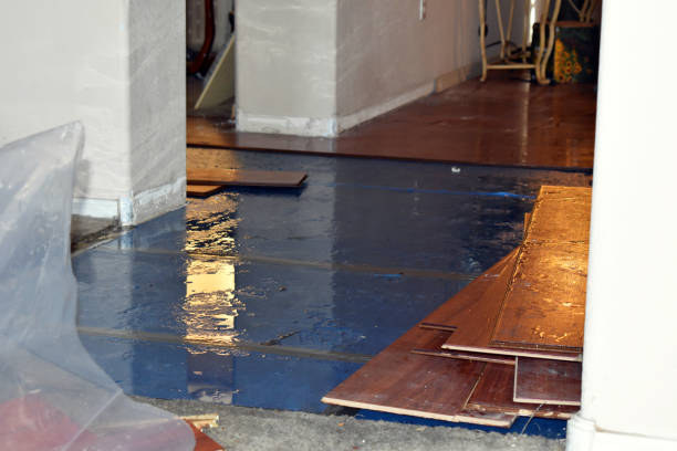 Professional Burst Pipe Cleanup technician working in Lincoln Park, NY